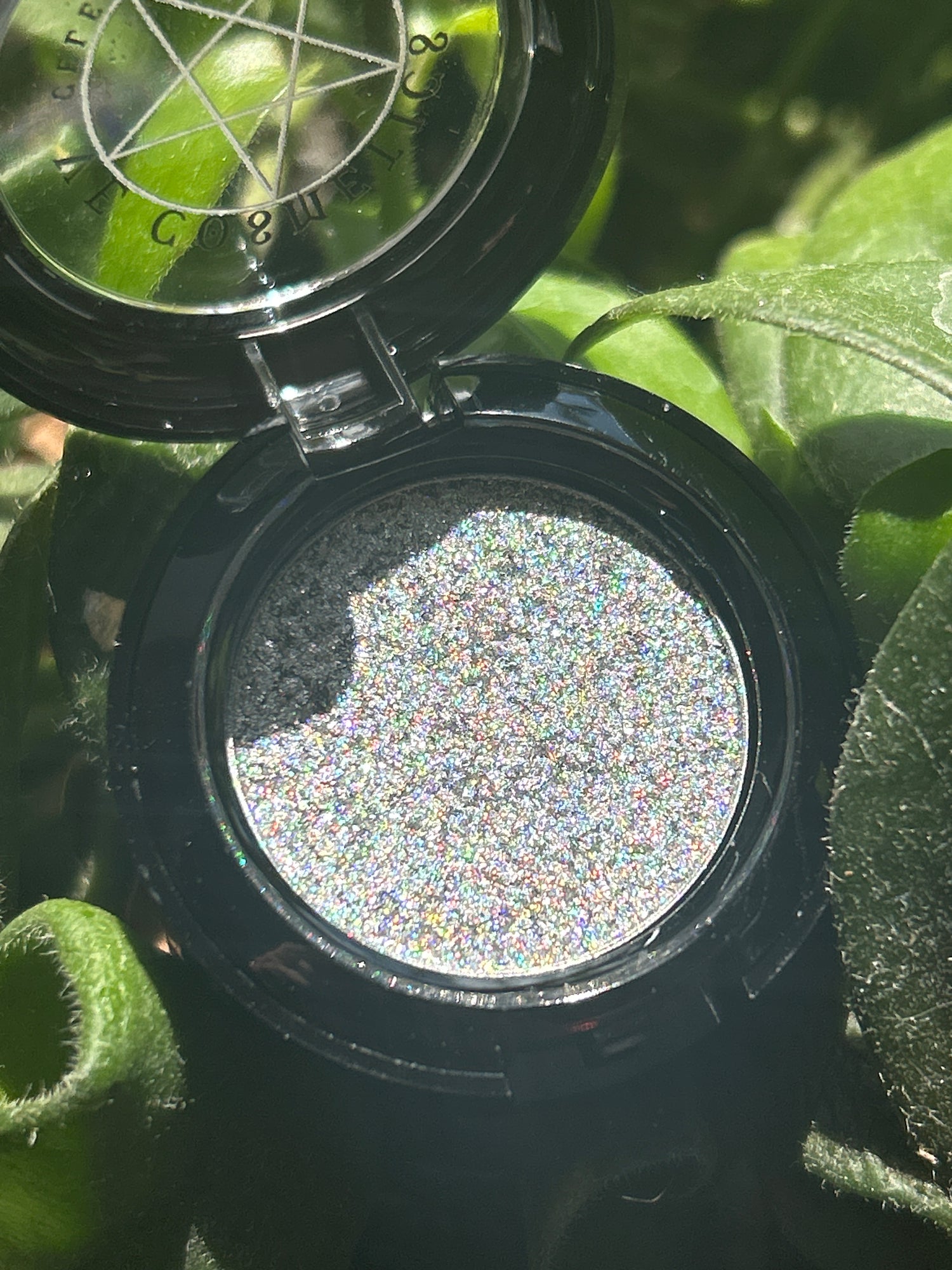 Holographic Universe Single Pan Shadow