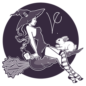 VE Cosmetics logo, showing a witch wearing stripy socks riding a carrot with a white bunny alongside her against a black moon.