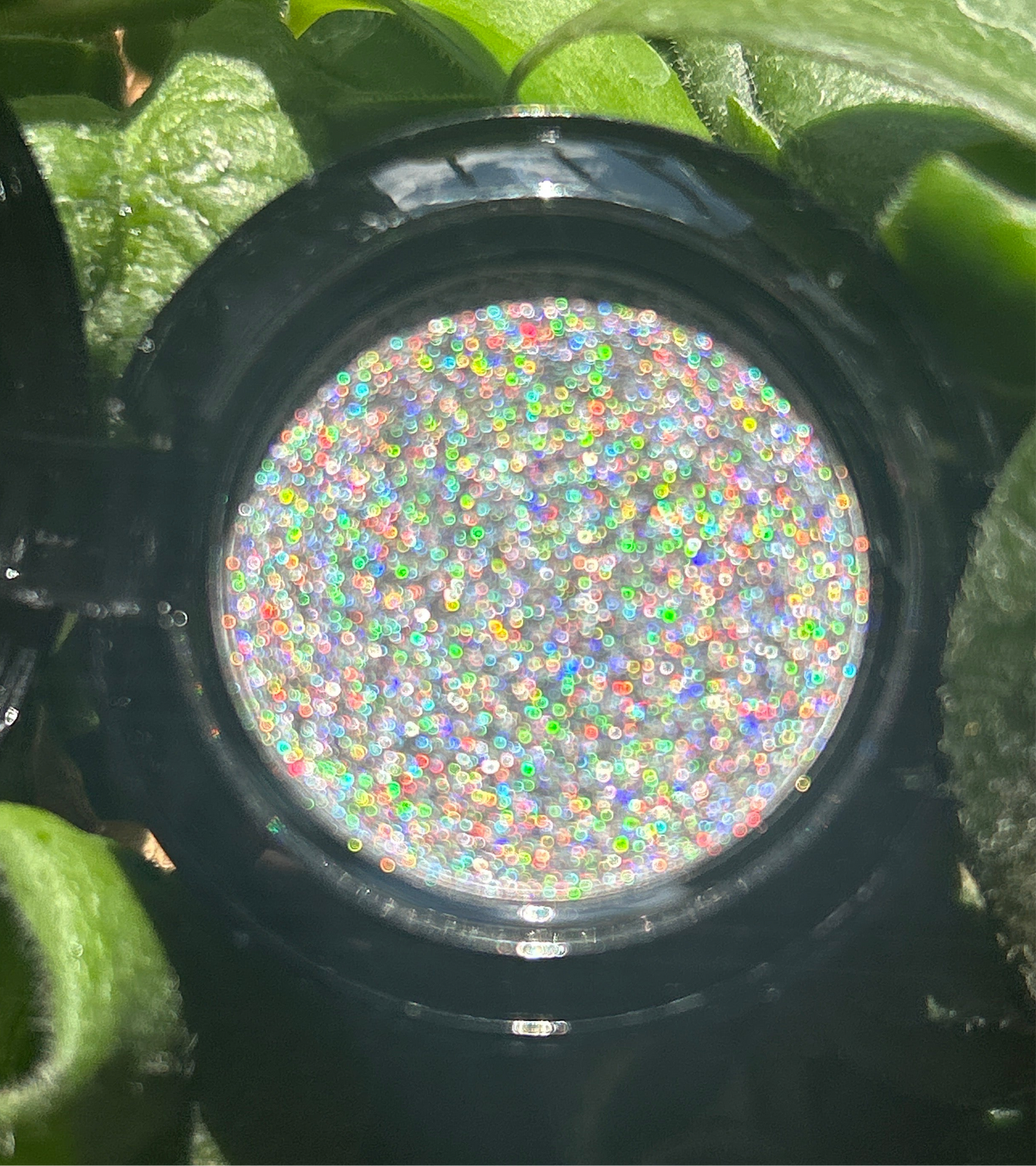 Holographic Universe Single Pan Shadow
