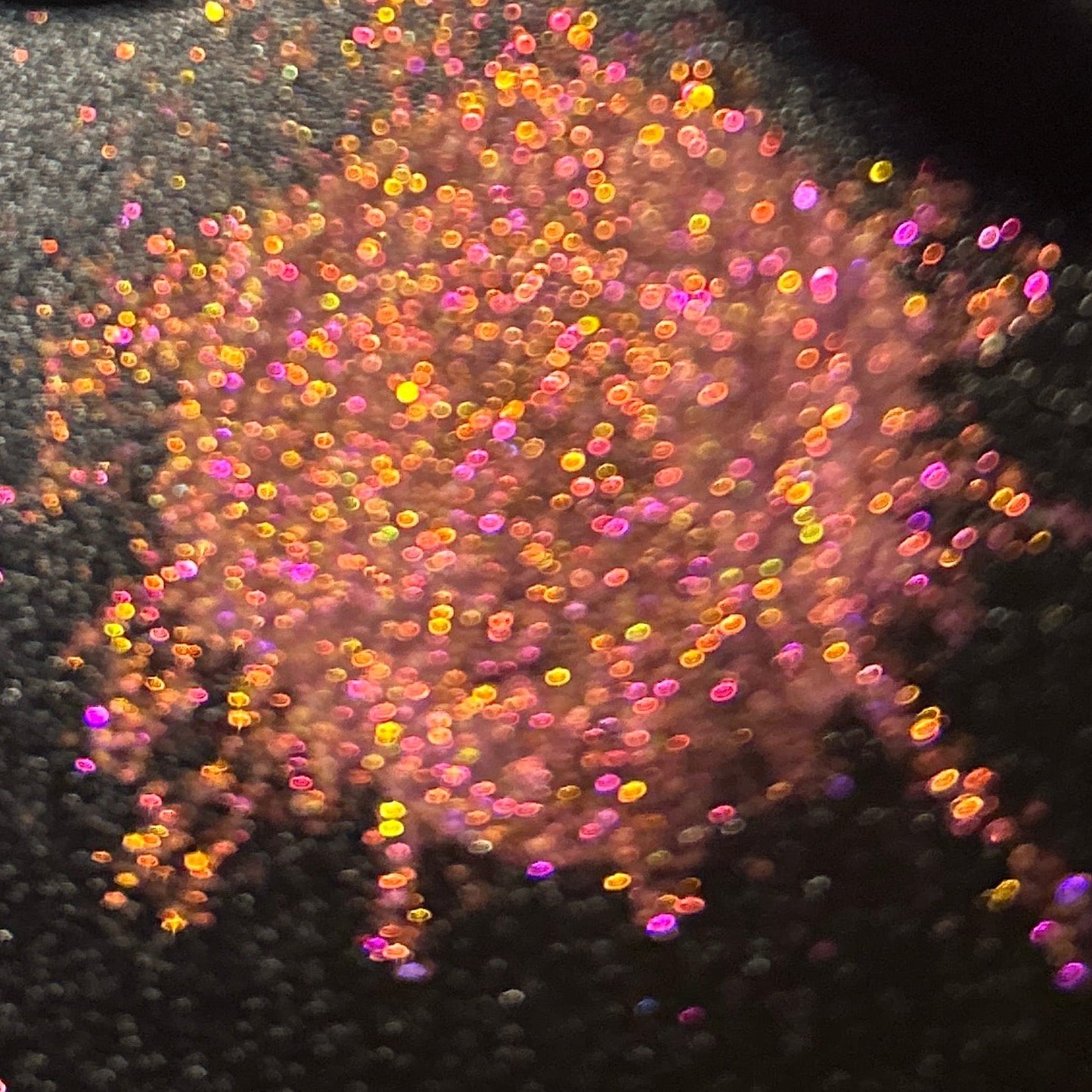 Witchfire Opal✨Arcane Shards Collection